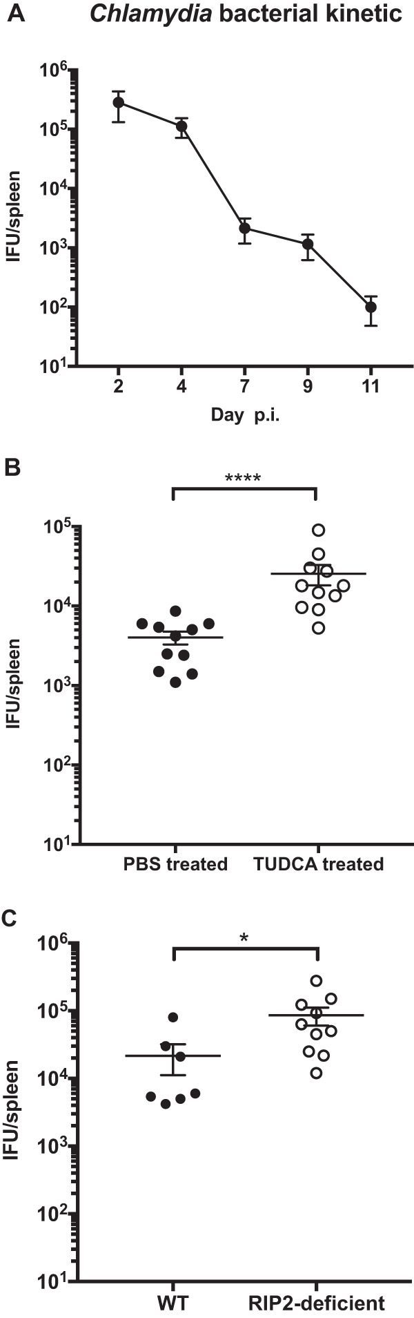 FIG 4