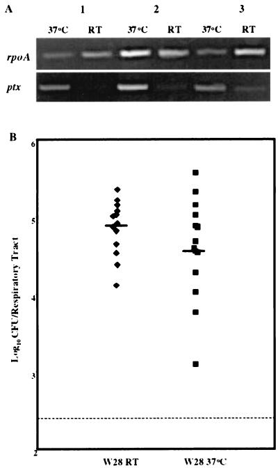 FIG. 10