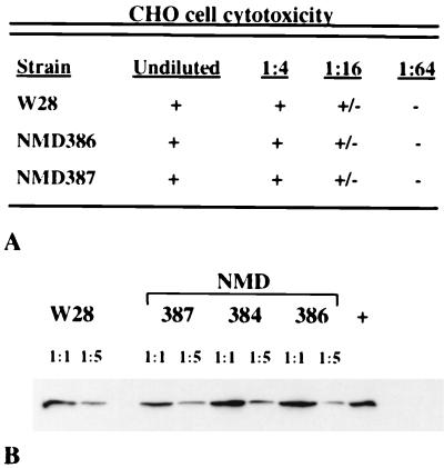 FIG. 5