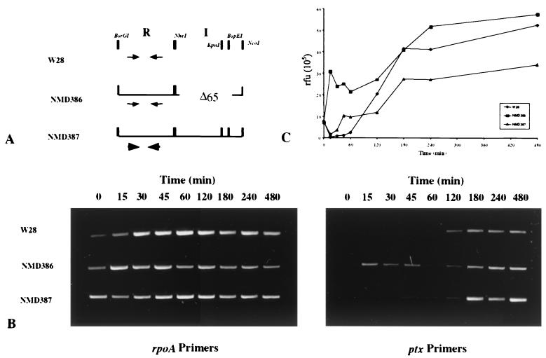 FIG. 4