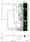 FIG. 6.