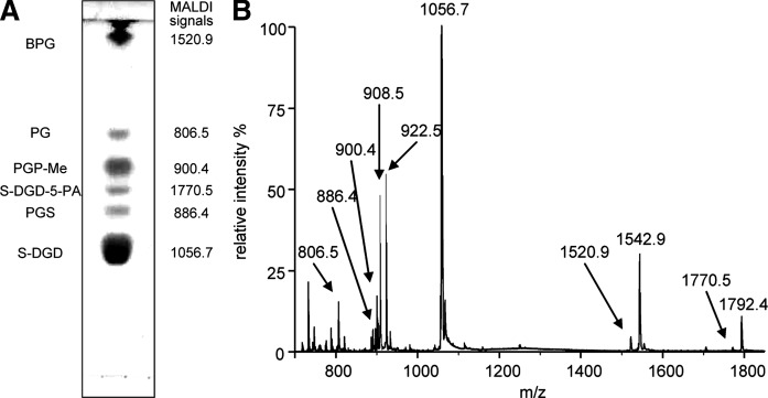 Fig. 6.