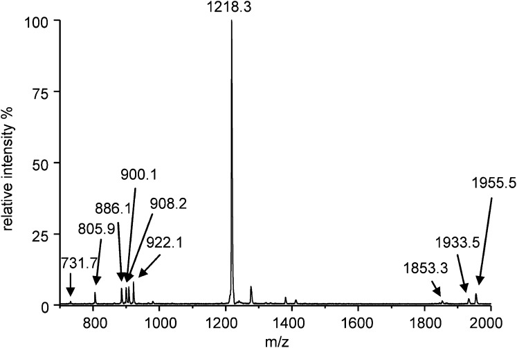 Fig. 5.