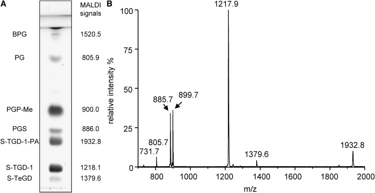 Fig. 3.