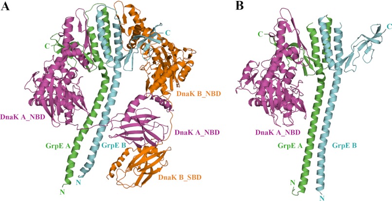 FIGURE 1.