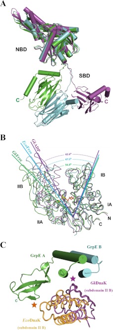 FIGURE 3.