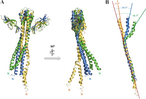 FIGURE 4.