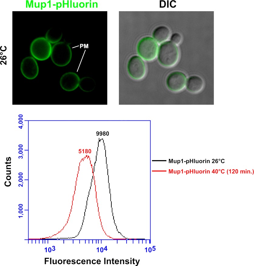 Figure 1—figure supplement 2.