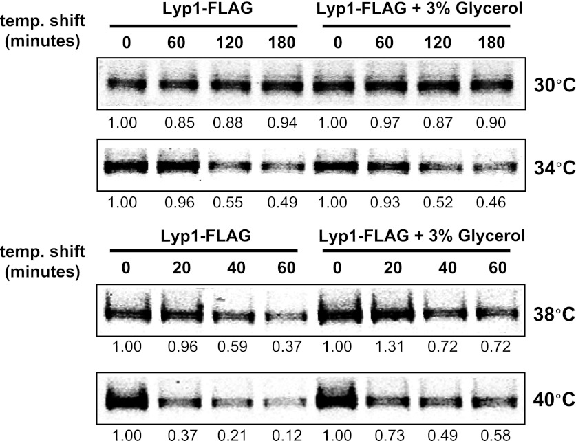 Figure 1—figure supplement 4.