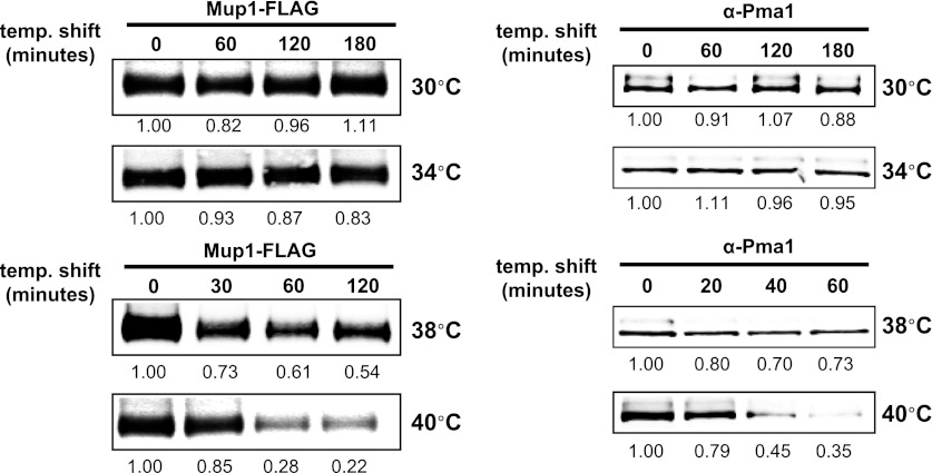 Figure 1—figure supplement 3.