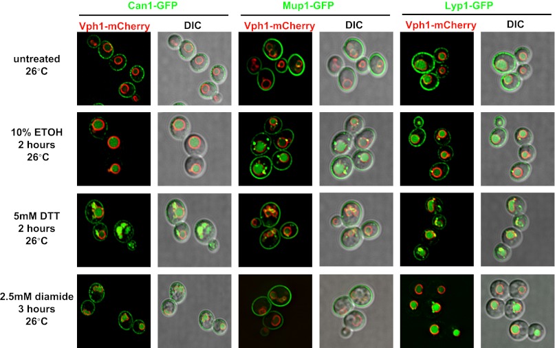 Figure 1—figure supplement 7.