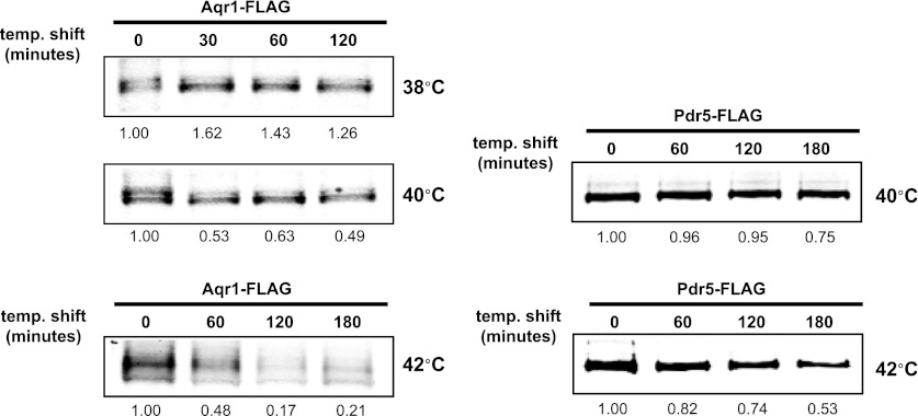 Figure 1—figure supplement 5.