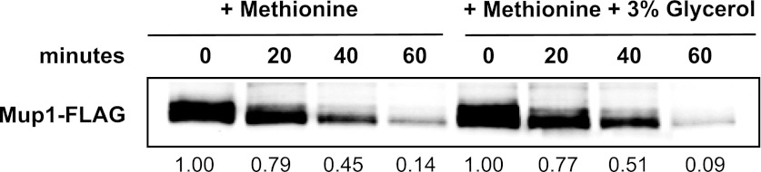 Figure 1—figure supplement 10.