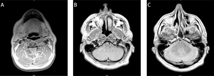 Fig. 7