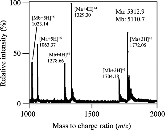 FIG 6