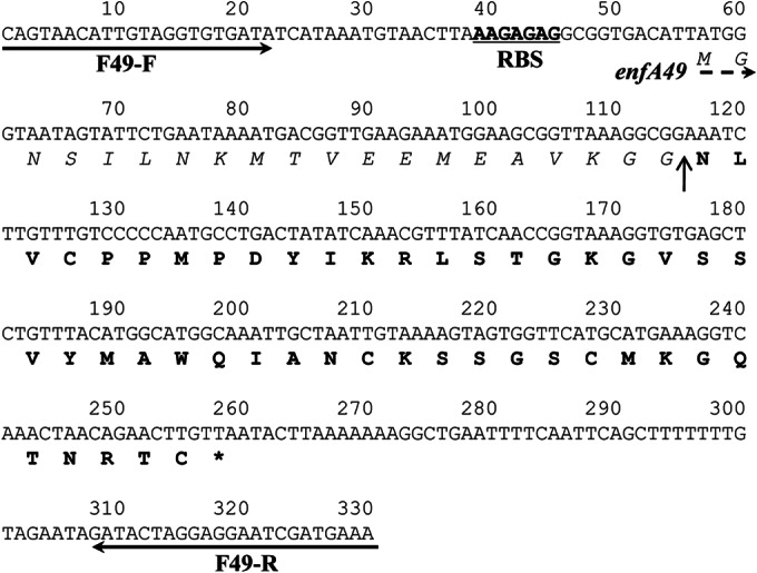 FIG 4