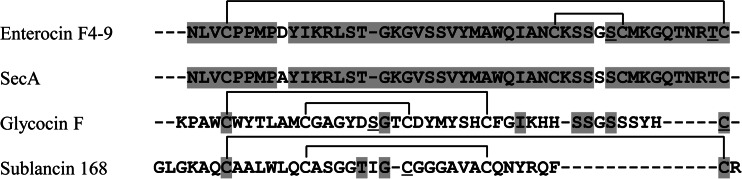 FIG 2