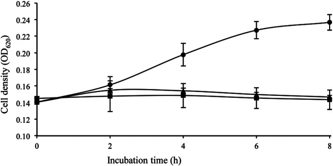 FIG 3