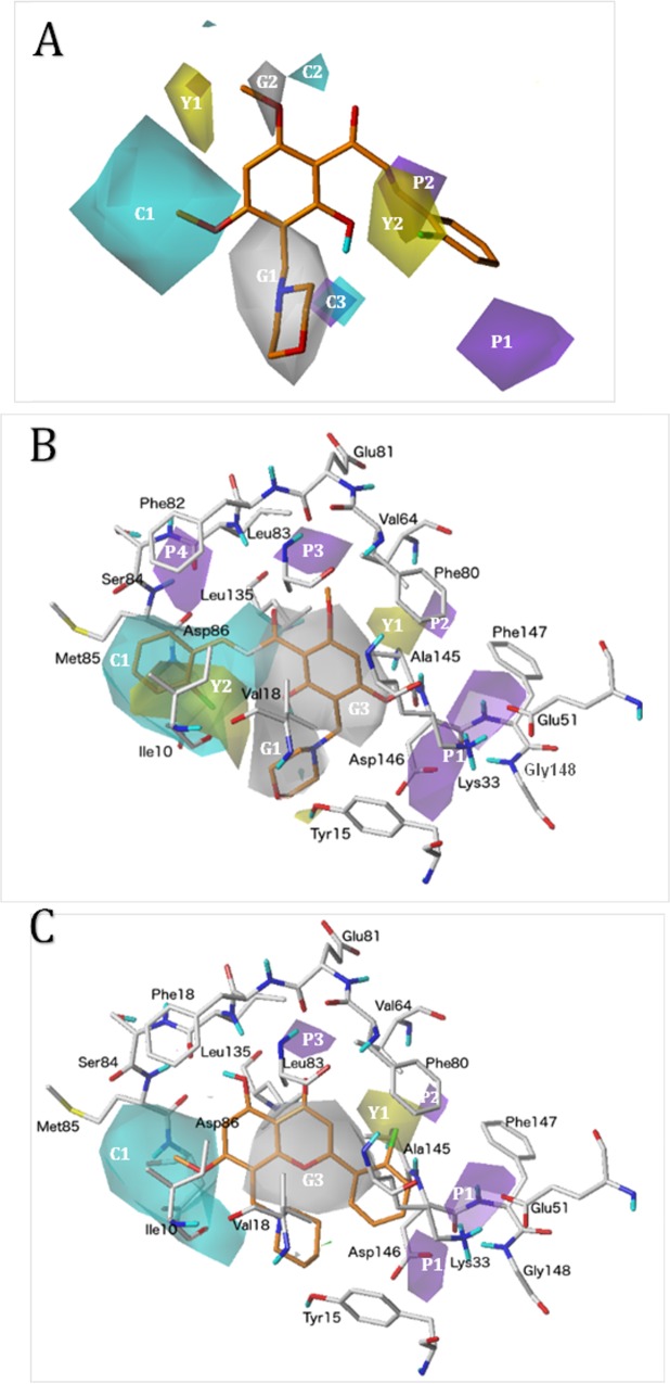 Fig 5