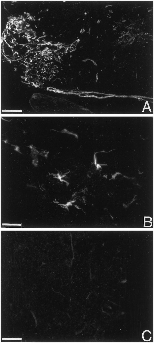 Fig. 9.