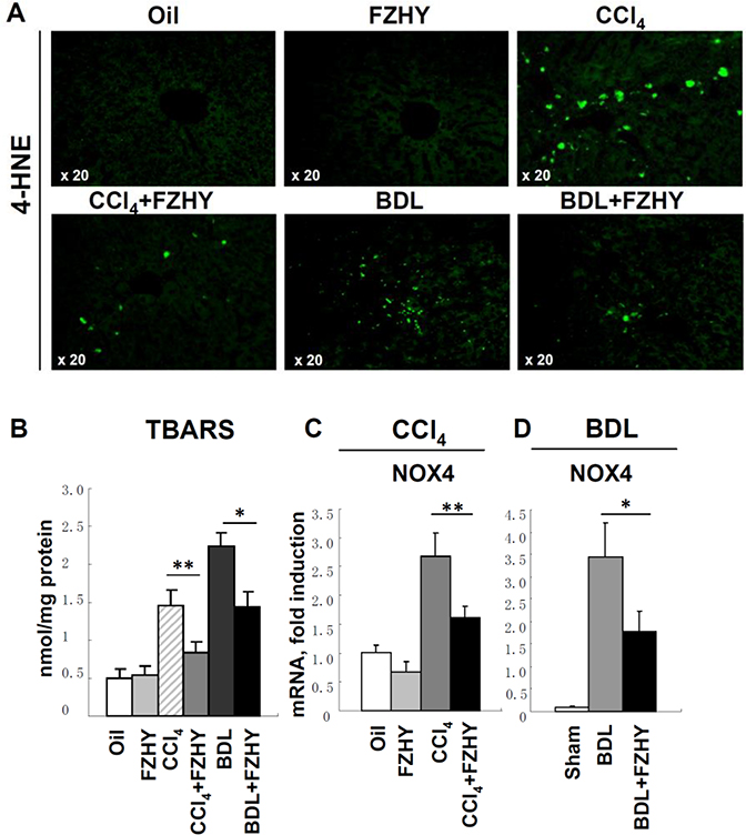 Figure 4: