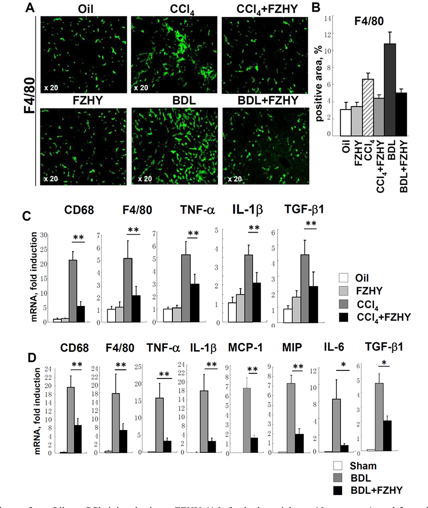 Figure 6: