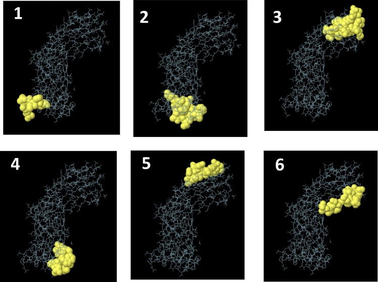 Fig. 3