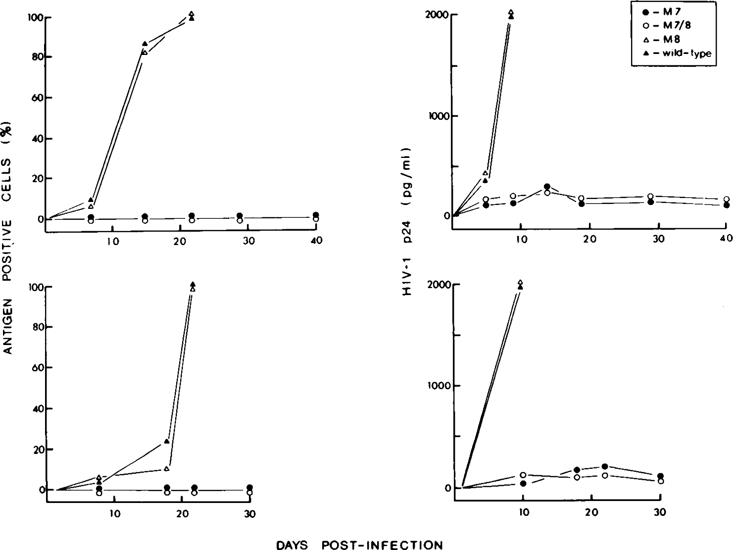 FIG. 2.