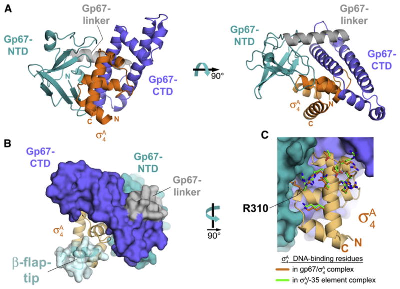 Figure 4