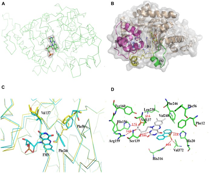 FIGURE 3