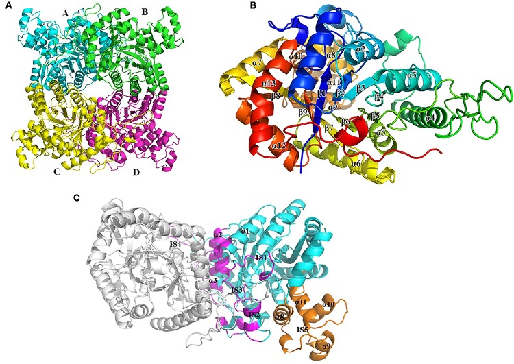 FIGURE 2