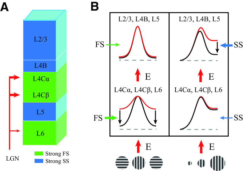 Figure 12.