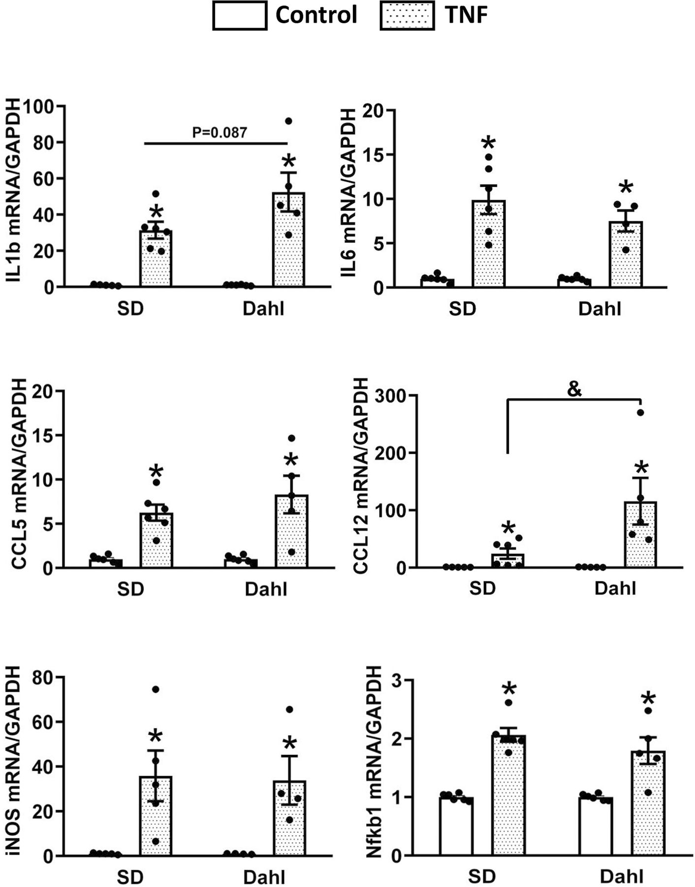 Fig. 6: