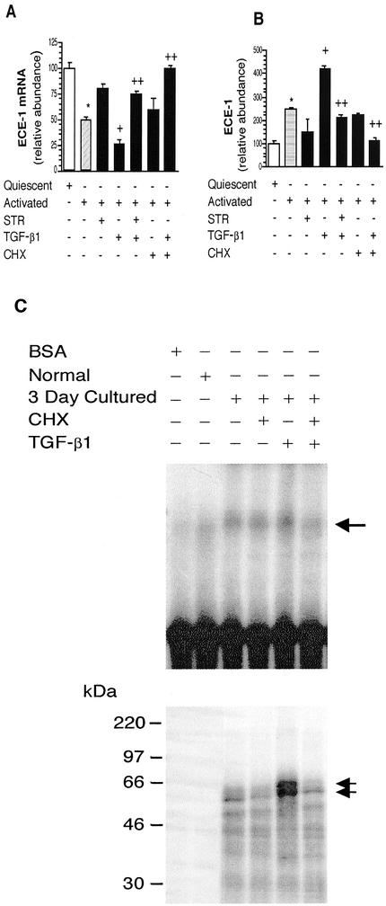 Figure 10.