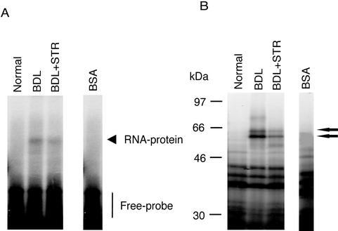 Figure 9.