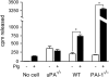 <b>Figure 4.</b>