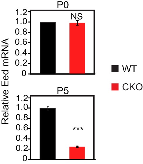 Figure 1—figure supplement 1.