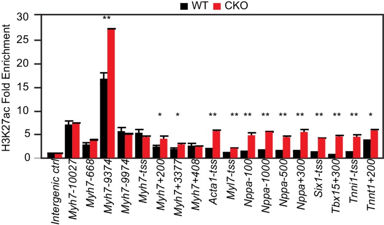 Figure 2—figure supplement 1.