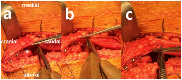 Fig. 3.