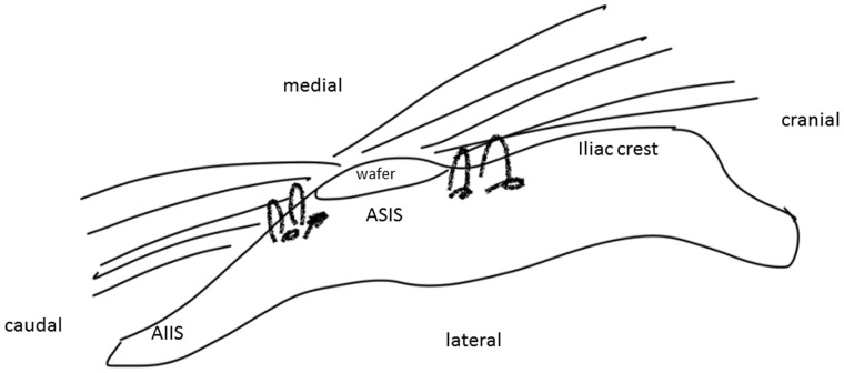 Fig. 6.