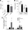 Figure 3—figure supplement 1.