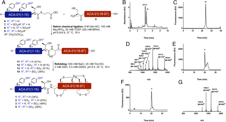 Fig. 4.