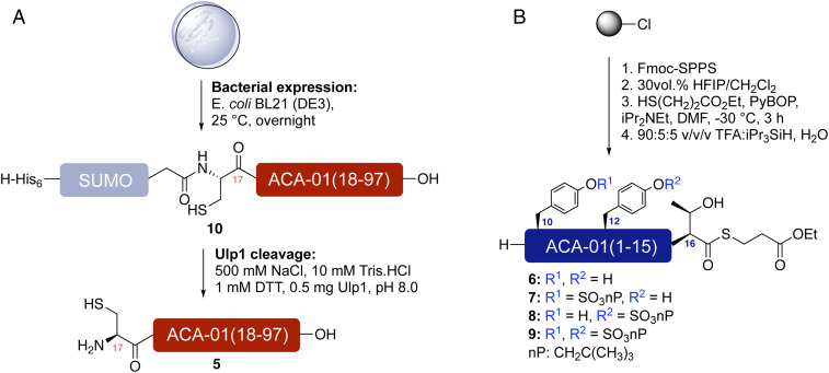 Fig. 3.