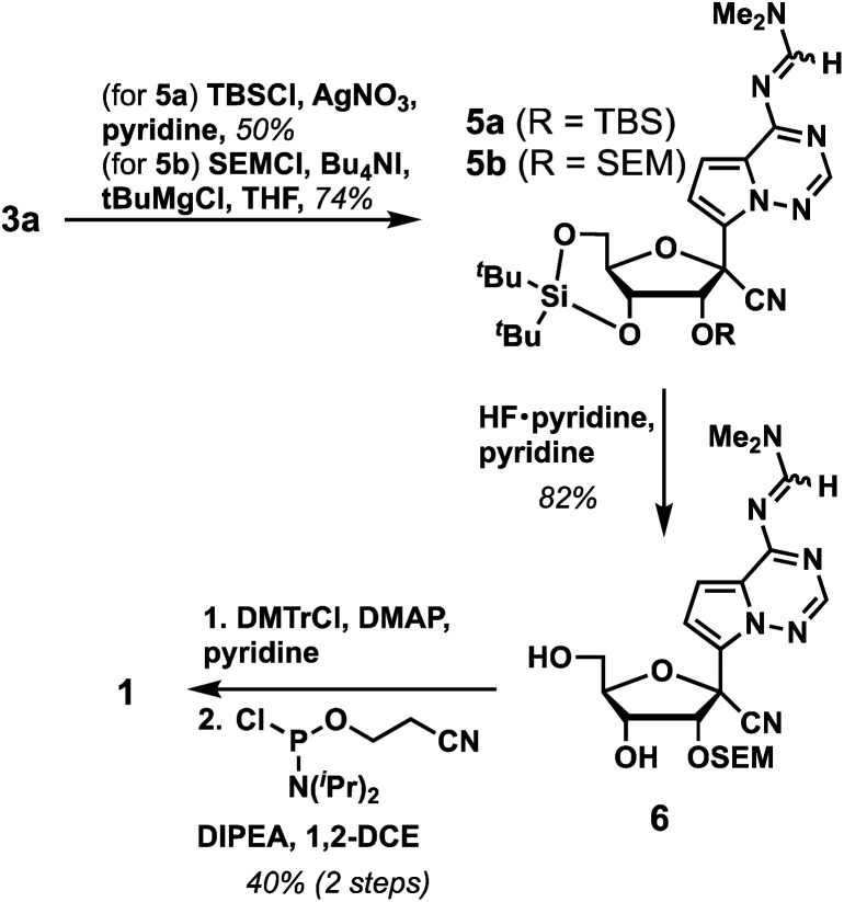 Scheme 2