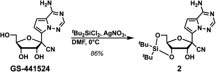 Scheme 1