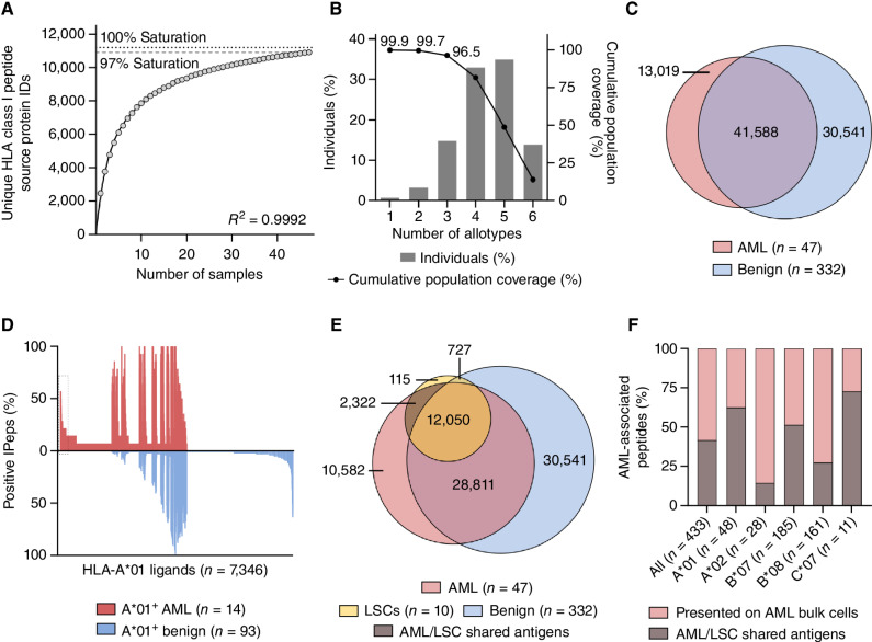 Figure 2. Comparative immunopeptidome profiling identifies AML/LSC-associated HLA class I antigen targets. A, Saturation analysis of HLA class I-restricted peptide source proteins of the AML cohort. The mean number of unique source proteins (y-axis) for a given cohort size (number of samples, x-axis) has been calculated by 1,000 random samplings from the entirety of AML immunopeptidomes. The number of unique source protein identifications (y-axis) is shown as a function of cumulative immunopeptidome analysis of AML samples (n = 47, x-axis). Exponential regression was used to extrapolate the maximum attainable coverage of different source proteins (dotted line, 11,193 proteins). The dashed line depicts the HLA-restricted peptide source proteome coverage achieved in the AML cohort (10,906 proteins). B, HLA class I allotype population coverage within the AML cohort compared with the world population (www.iedb.org). The frequencies of individuals within the world population carrying up to six HLA allotypes (x-axis) of the AML dataset are indicated as gray bars on the left y-axis. The cumulative percentage of population coverage is depicted as black dots on the right y-axis. C, Overlap analysis of HLA class I ligand identifications of primary AML samples (n = 47, curated immunopeptidome data) and benign samples (n = 332). D, Allotype-specific comparative immunopeptidome profiling based on the frequency of HLA-A*01–restricted peptide presentation in HLA-A*01–positive AML (n = 14) and benign samples (n = 93). Frequencies of positive immunopeptidomes for the respective HLA ligand (x-axis) are indicated on the y-axis. HLA-A*01 ligands (n = 7,346) are depicted on the x-axis, sorted according to the frequency of AML and benign samples presenting the respective ligand. The box on the left highlights the subset of AML-associated antigens showing AML-exclusive, high frequent presentation. E, Overlap analysis of HLA class I ligand identifications of LSC samples (n = 10) with AML bulk (n = 47) and benign samples including CD34+-enriched HSPCs (n = 332). F, Proportion of all HLA class I and of HLA class I allotype-specific high frequent AML-associated peptides that are also presented on LSCs (AML/LSC shared antigens). N indicates the number of peptides. Abbreviations: ID, identification; IPep, immunopeptidome.