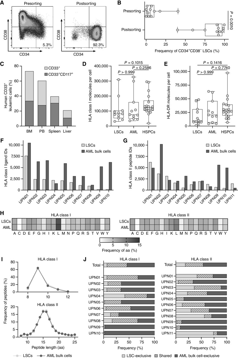 Figure 1. Immunopeptidome analysis of enriched primary CD34+CD38− LSCs. A, Representative flow cytometry analysis of CD34+CD38− LSC frequencies pre- and postenrichment using magnetic-activated cell sorting (MACS) with the markers CD34 and CD38. B, Frequencies of CD34+CD38− LSCs in primary AML patient samples (n = 11) pre- and postsorting determined by flow cytometry. C, In vivo leukemic engraftment of LSCs (UPN01) in NOD/SCID/IL2Rγnull mice (n = 4). Flow cytometry–based analysis of the frequency of human CD33+ and CD33+CD117+ leukemic cells in the bone marrow, peripheral blood, spleen, and liver of NOD/SCID/IL2Rγnull mice 31 weeks after intrafemoral transplantation of 6 × 105 human CD34+CD38− LSCs. D and E, Surface expression of HLA class I (D) and HLA-DR molecules (E) determined by flow cytometry on AML patient-derived CD34+CD38− LSCs (n = 11) and CD34+CD38+ AML cells (n = 11) and on HV-derived CD34+ HSPCs (n = 18, thereof n = 7 hematopoietic stem cell apheresis from G-CSF mobilized blood donations of patients with nonhematologic malignancies). F and G, Number of mass spectrometric identified HLA class I- (F) and HLA class II-presented peptides (G) on LSCs and corresponding AML bulk cells (n = 10 for HLA class I, n = 11 for HLA class II). H, Amino acid distribution within the LSC- and AML bulk cell-derived HLA class I (left) and HLA class II (right) immunopeptidomes based on the unique peptide identifications in each cohort. I, Peptide length distribution of HLA class I ligands (top) and HLA class II peptides (bottom) in the immunopeptidome of LSCs and corresponding AML bulk samples. J, Overlap analysis of HLA class I ligand (left) and HLA class II peptide (right) identifications of LSCs and corresponding AML bulk samples on patient-individual and cohort-wide level. In B, D, and E, data points represent individual samples. Boxes represent median and 25th to 75th percentiles, whiskers are minimum to maximum. C, Data are presented as bar graphs with mean. B, Paired Wilcoxon signed rank test. D and E, Kruskal–Wallis test. Abbreviations: BM, bone marrow; PB, peripheral blood; ID, identification; UPN, uniform patient number; aa, amino acid.