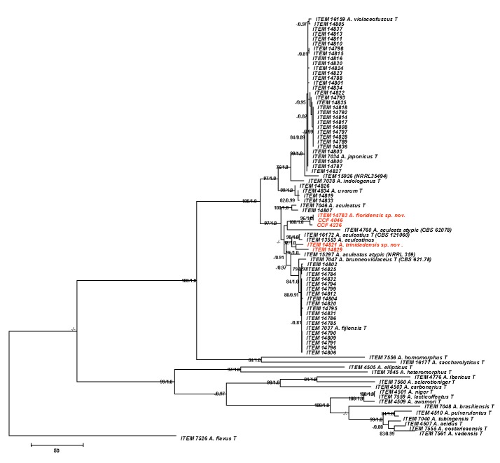 Fig. 2.