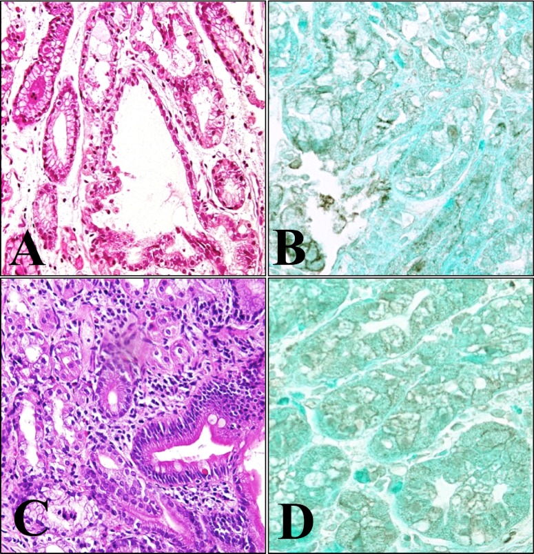 Fig. 3