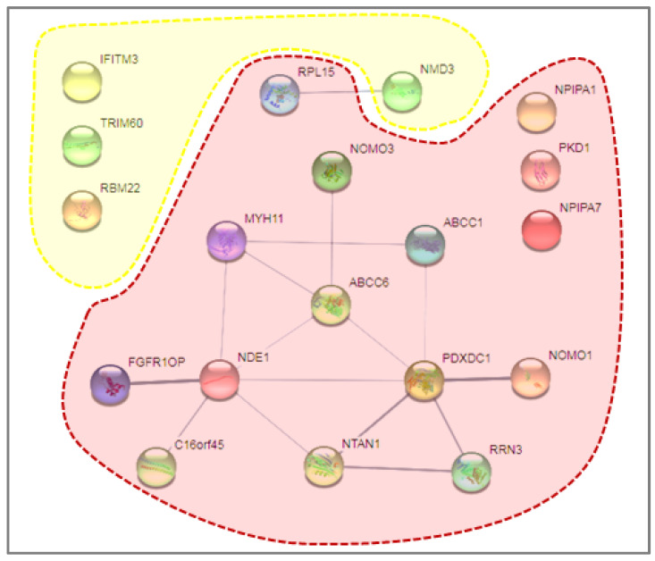 Figure 6